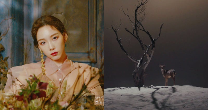 태연 사계 가사 의미 표절