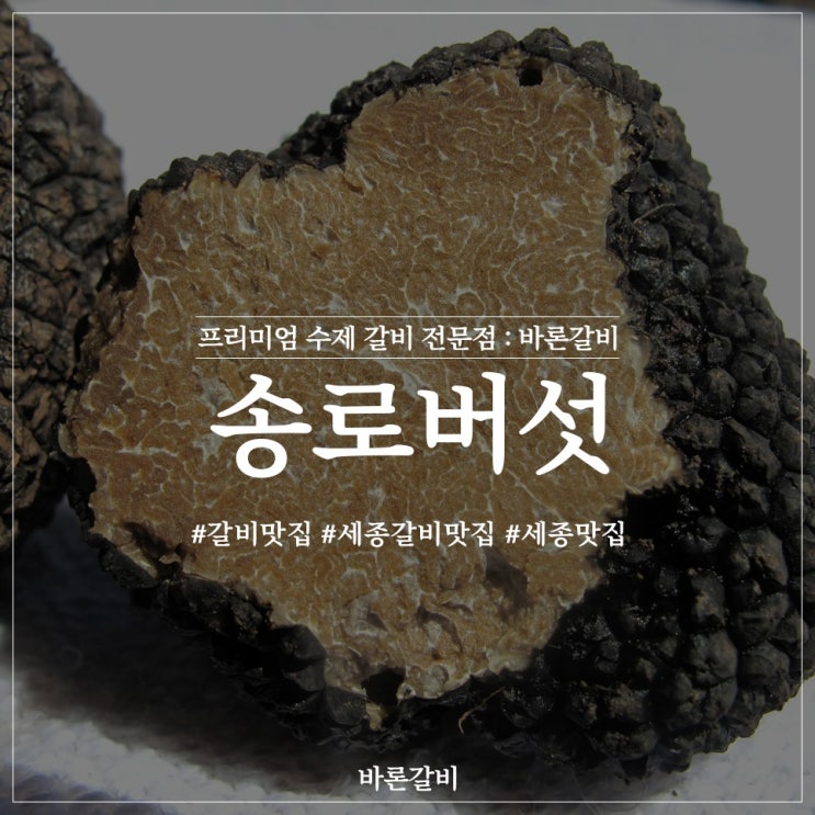  세계 3대 진미 중 하나인 송로버섯 효능