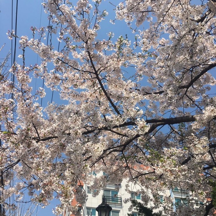  봄이