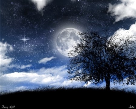 [하이큐 상황문답] 황녀님은 바빠요 (13)