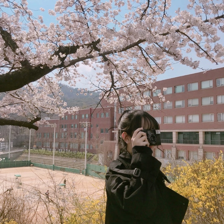  ~20190423 굳이 시험기간에 쓰는 밀린일상기록