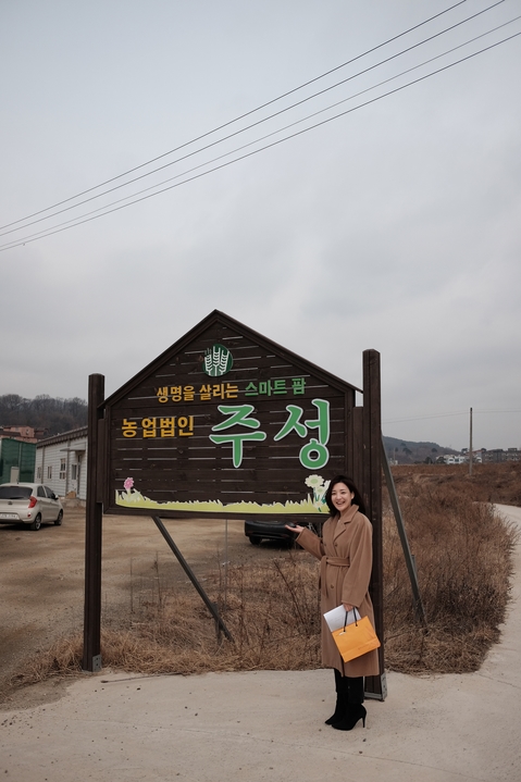  새싹보리분말 공구