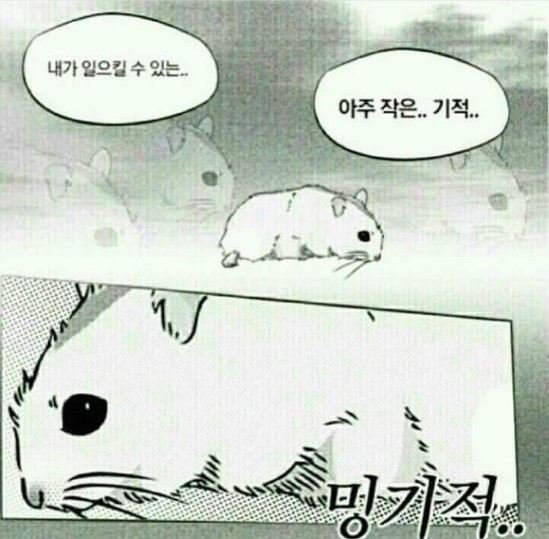  2018년 크리스마스에는 네가족이 되었어요 :)
