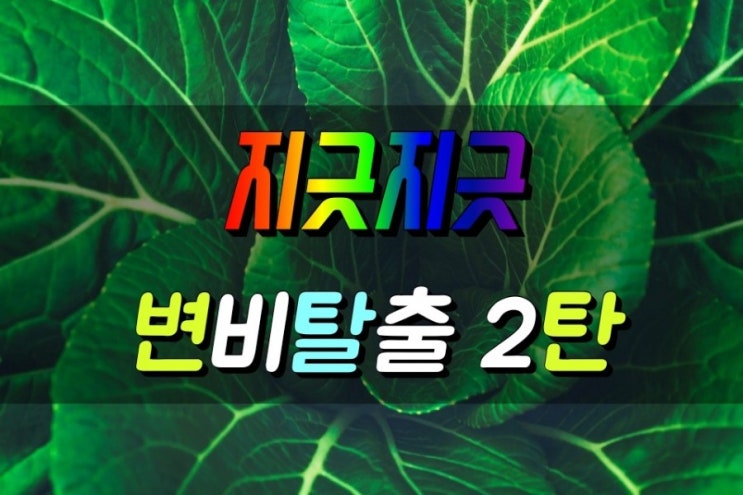  식이섬유의 두 얼굴 먹는법이 따로 있다? 변비탈출 2탄