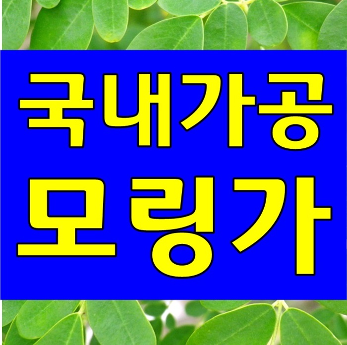  모링가잎 효능, 모닝가 분말 가루 모링가환 참좋아요