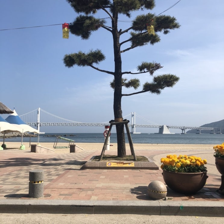  350번째 일상 [1박2일 부산여행, 광안리 베스트루이스해밀턴 도끼 호텔, 과천 옛골토성, 광안리 커피스미스, 혼다 슈퍼커브, 서면 전포카페거리 카페 에누, Extraordinary]