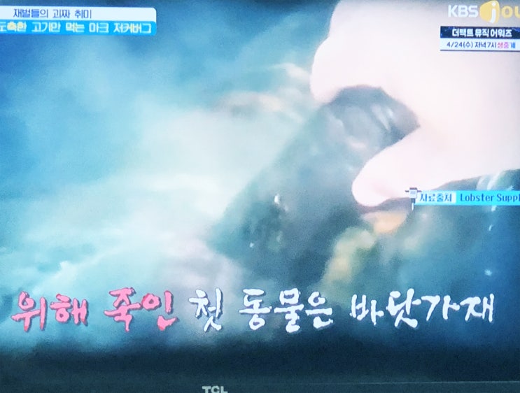 이외수 졸혼 그리고 일상 추천 기대만큼
