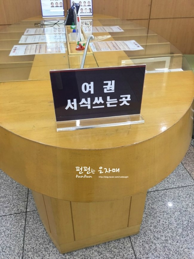  아이 여권 만들기 '동대문 구청'