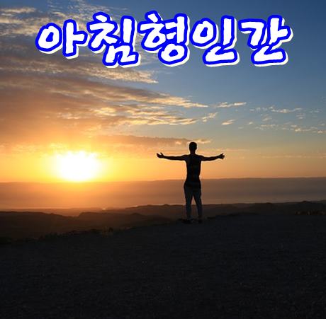  아침형 인간이  성공한 이유 공개합니다