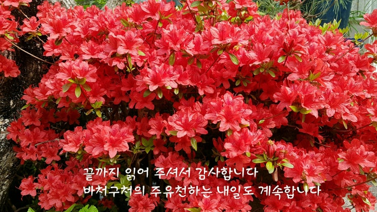  바처구처의 주유천하 547.적상산 전망대& 안국사& 사고& 와인동굴