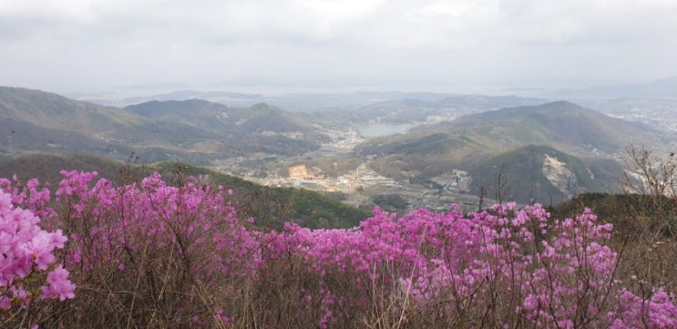  야고보서2장1절~13절(차별하는 태도에 임하는 긍휼 없는 심판)