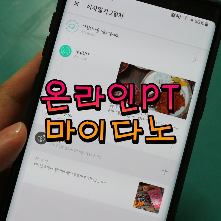  온라인PT 마이다노 베이직케어 한달해 본 솔직 후기!