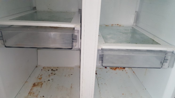  수원 장안구 김치냉장고청소 고온살균세척으로 곰팡이 제거하기