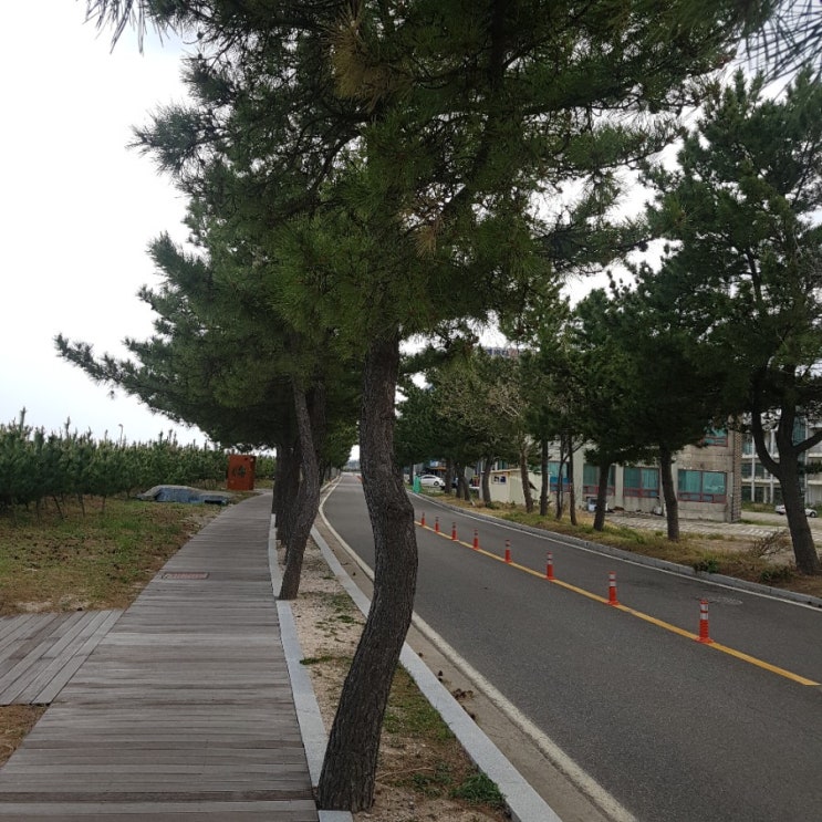  날씨가 흐린탓에 득템한 낙산해수욕장 4월여행