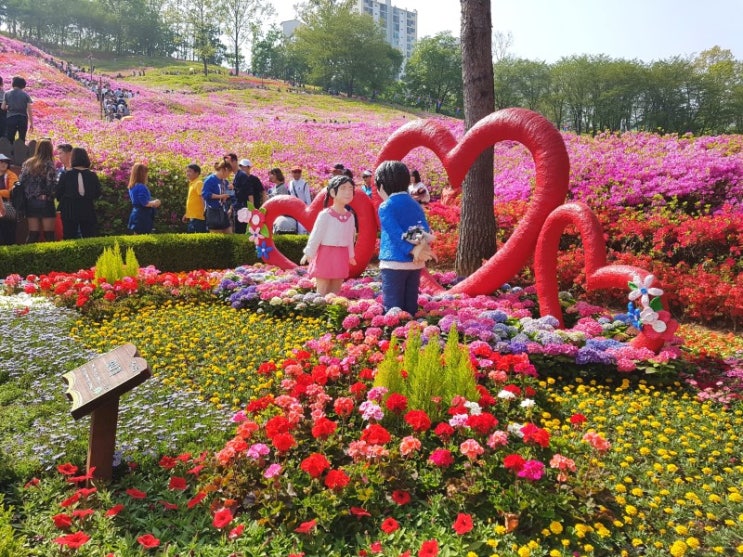 2018 군포철쭉축제 다녀왔어요~