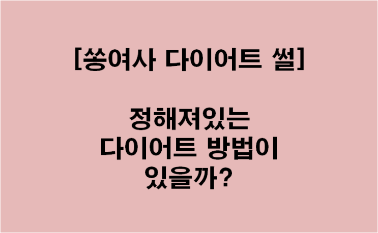  [쏭여사 다이어트썰] 정해진 다이어트의 공식(방법)이 있을까?