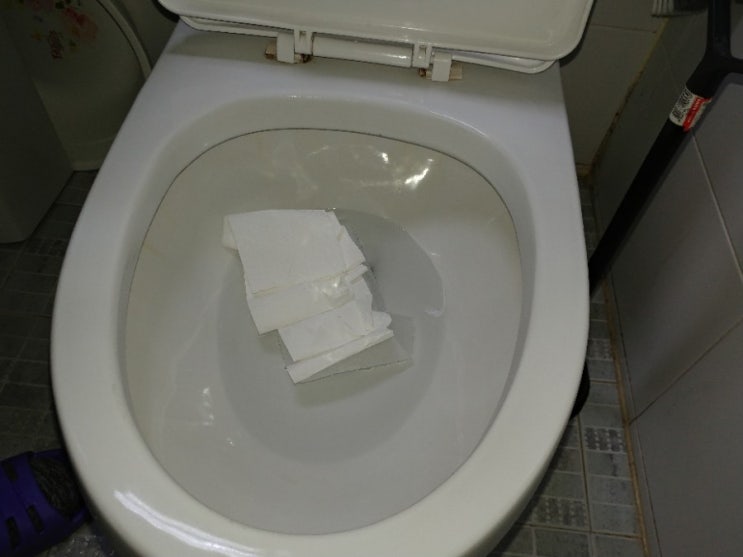  휴지 때문에 막힌 화장실 변기, 순식간에 뚫음! 인천 만수동