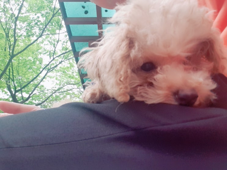  [단비세상] 화요단비의 일상이야기~