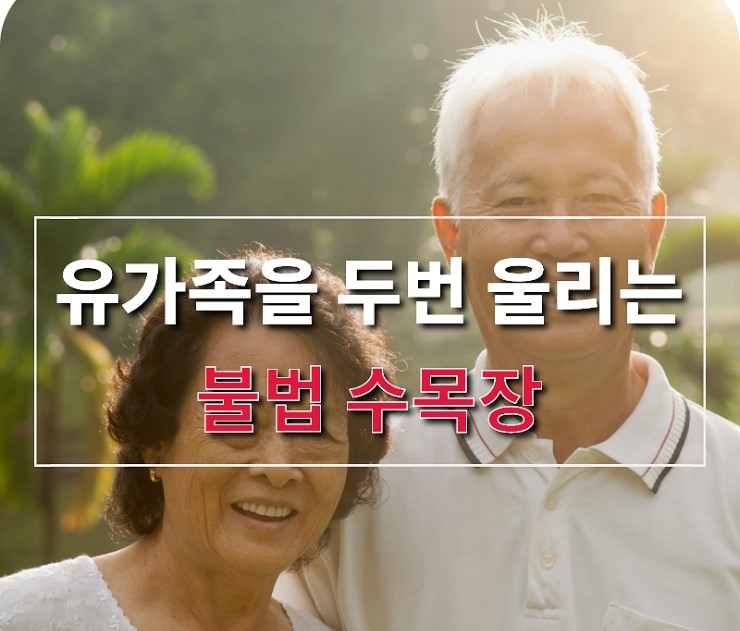  수목장가격 알아보는 방법
