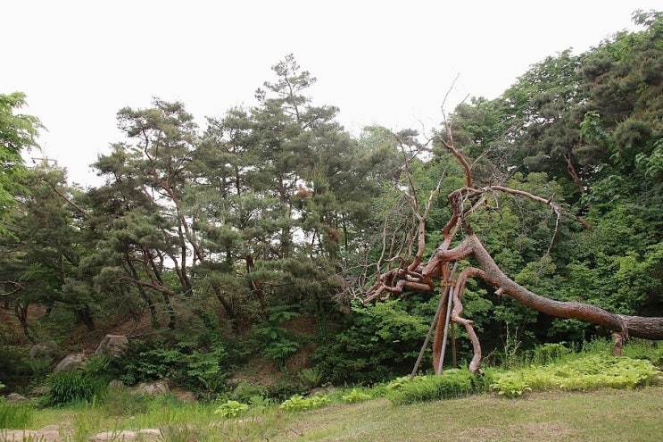  성락원