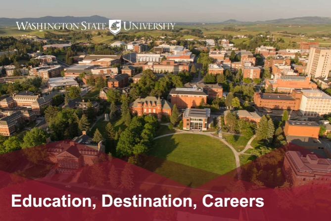  학생들에게 인기가 좋은 워싱턴주립대학교(Washington State University, WSU) 에 대한 2019 뉴버전 집중분석