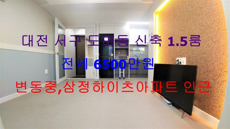 대전 서구 도마동 신축 풀옵션 1.5룸 저렴한 전세 (변동중학교 , 삼정하이츠아파트 인근)