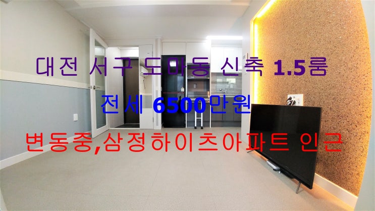  대전 서구 도마동 신축 풀옵션 1.5룸 저렴한 전세 (변동중학교 , 삼정하이츠아파트 인근)