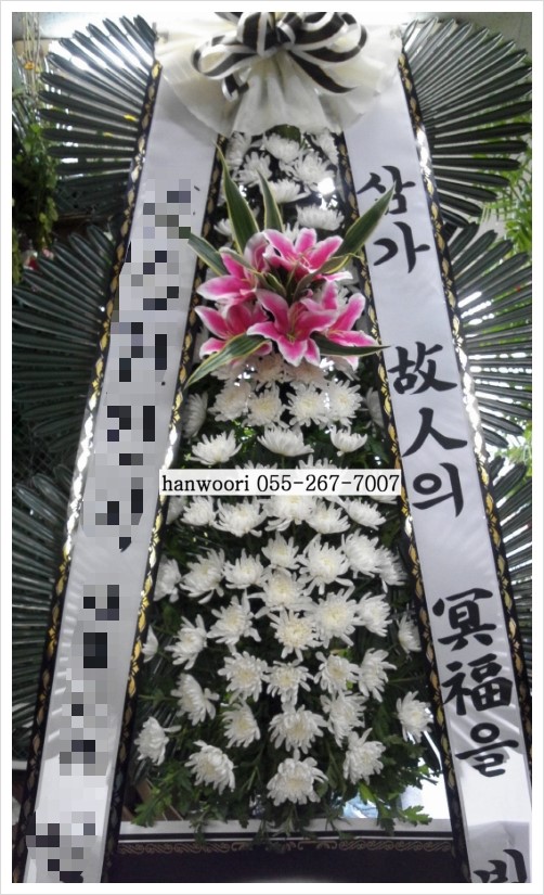  고성군 고성읍 동외리 고성영락원장례식장 부고 고성꽃배달 동외리꽃집,고성영락원장례식장근처꽃집[국화정품3단화환][개업화분]