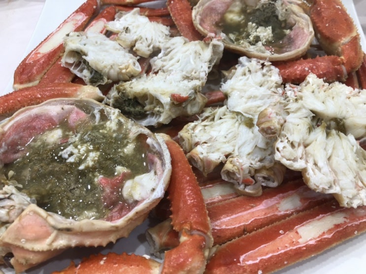  속초에 대게 먹으로 여행온 남자 3명~!속초 맛집 방문게머꼬 회머꼬!!배부르고 취하고 왔습니다~!