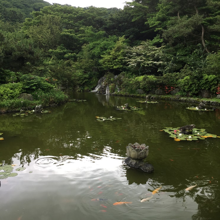 산책을 떠났어요! 그리고 커피도 한잔 여유를 가지다!