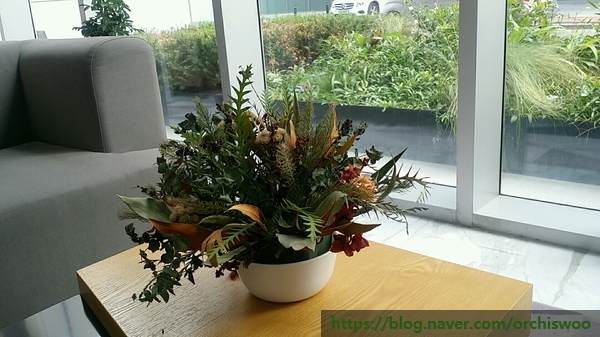  내가 너무 오래 사나 보다