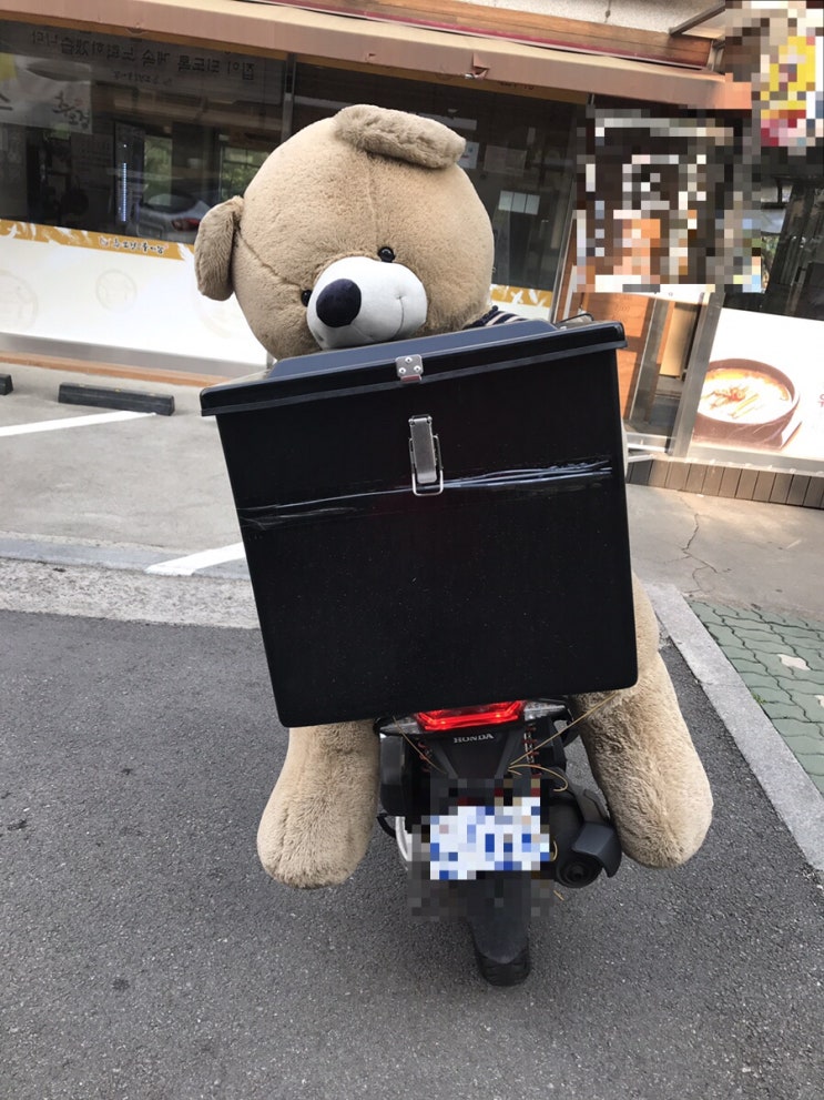 윌슨 배달 윌슨 배달