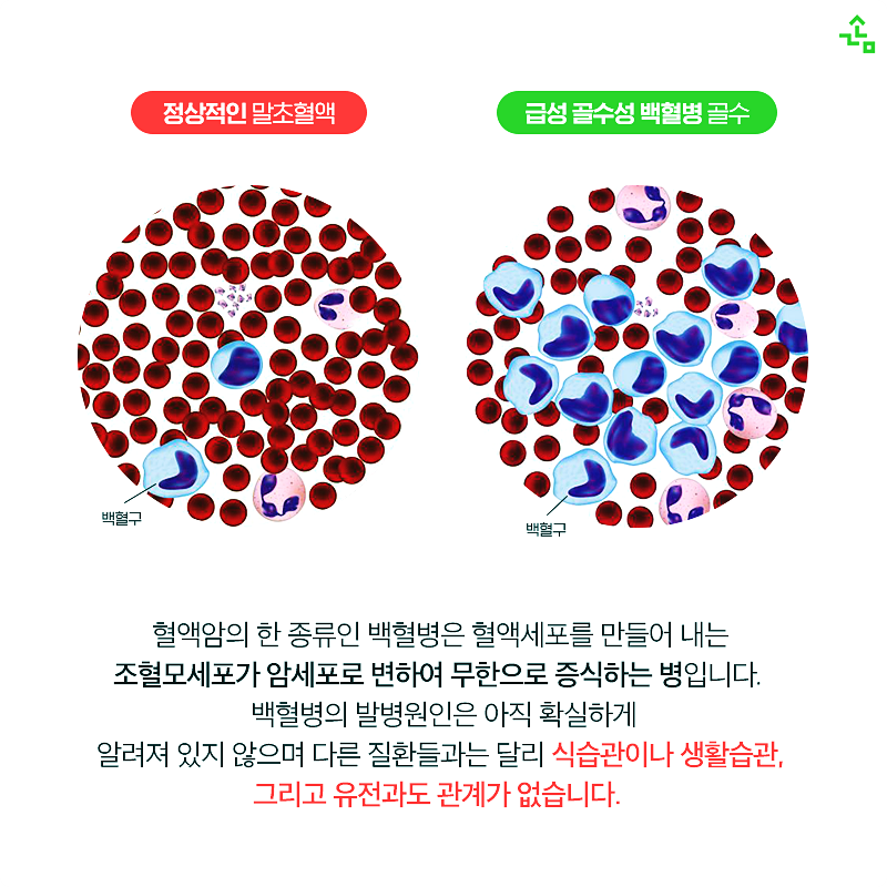 í˜ˆì•¡ì•