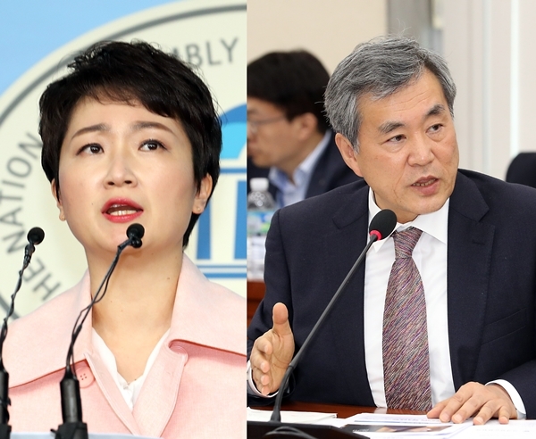  이상돈의 ‘내로남불’식 이언주 비판