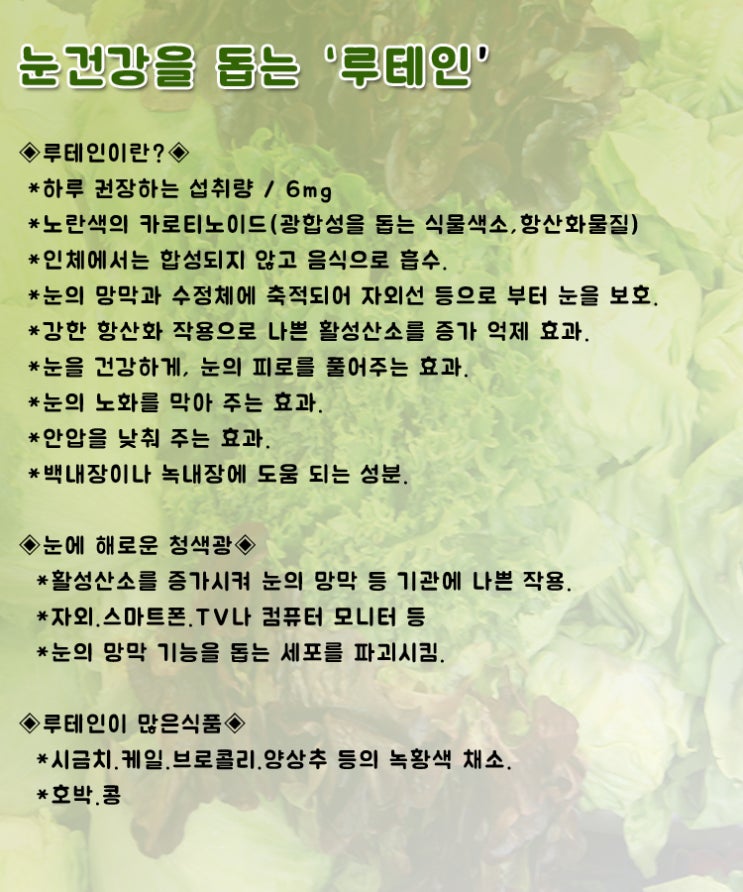  눈 건강을 돕는 ..루테인 효과