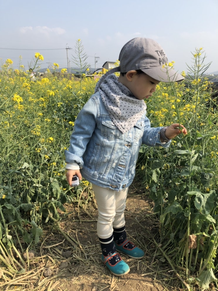  38개월 아이랑 제주도 여행 * 제주시새우리 애월해안도로산책로