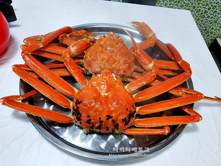  강릉중앙시장 제가격에 맛있고 친절한 별주부횟집