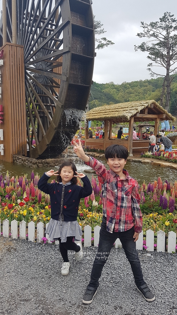  대구 가볼만한곳 송해공원 둘레길 나들이하기 좋아!