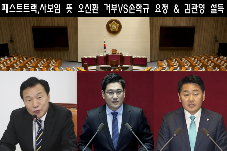  패스트트랙,사보임 뜻 오신환 거부VS손학규 요청 & 김관영 설득과 나경원