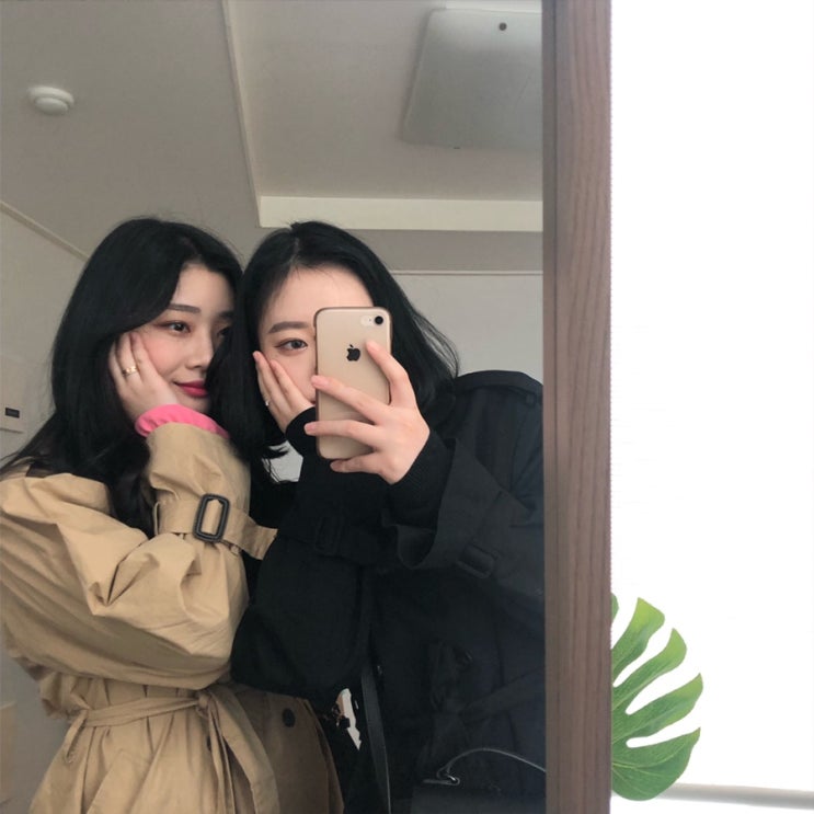  2019.03.15