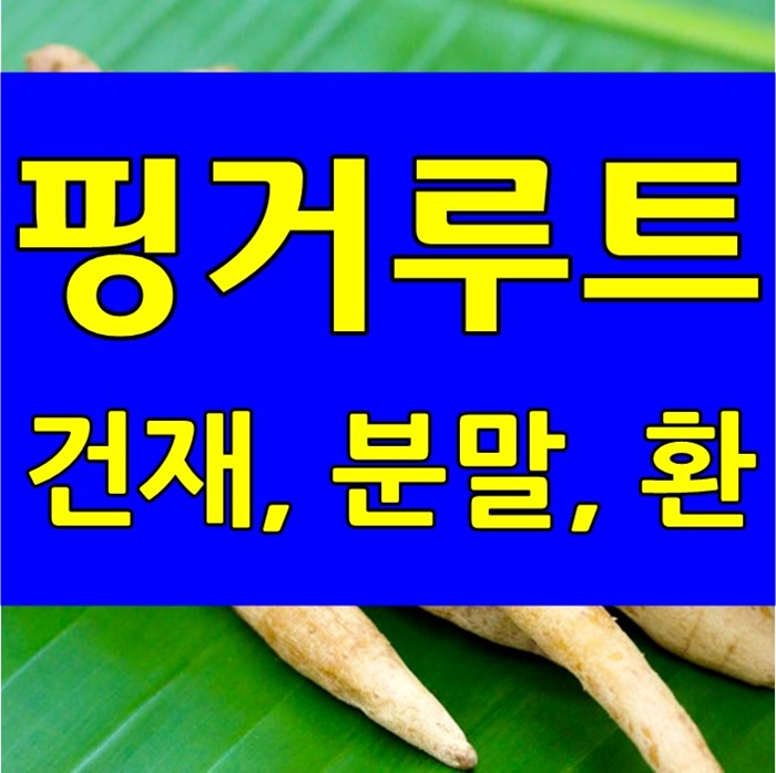  판두라틴 핑거루트 분말 효능, 핑거루트환 가루 가격 안내
