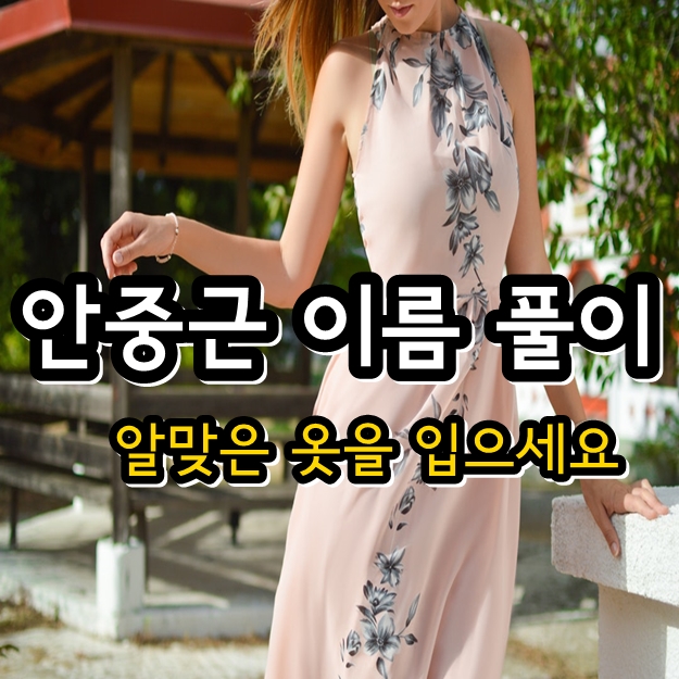 안중근 이름 풀이 - 이토 히로부미 안중근 의사 중국 하얼빈 의거 우덕순 조도선 차이자거우 안중근 이름 풀이 - 이토 히로부미 안중근 의사 중국 하얼빈 의거 우덕순 조도선 차이자거우