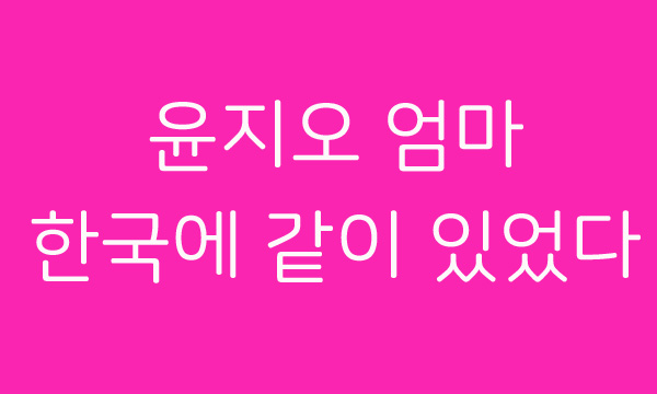  윤지오 캐나다 출국 반전에 반전, 캐나다 도착해서 윤지오가 인스타그램에 한말~ 엄마는 한국에 있었다.
