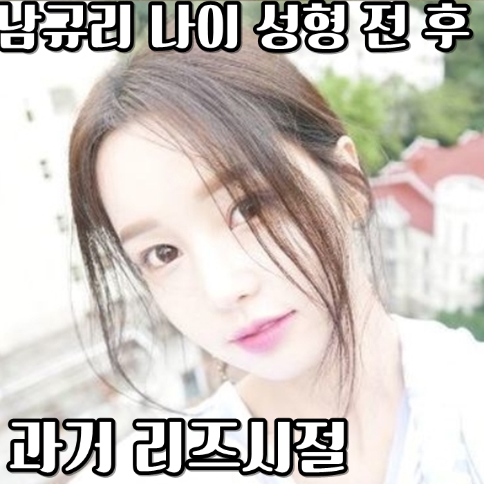  남규리 나이 성형전후 과거 리즈시절 꺄악