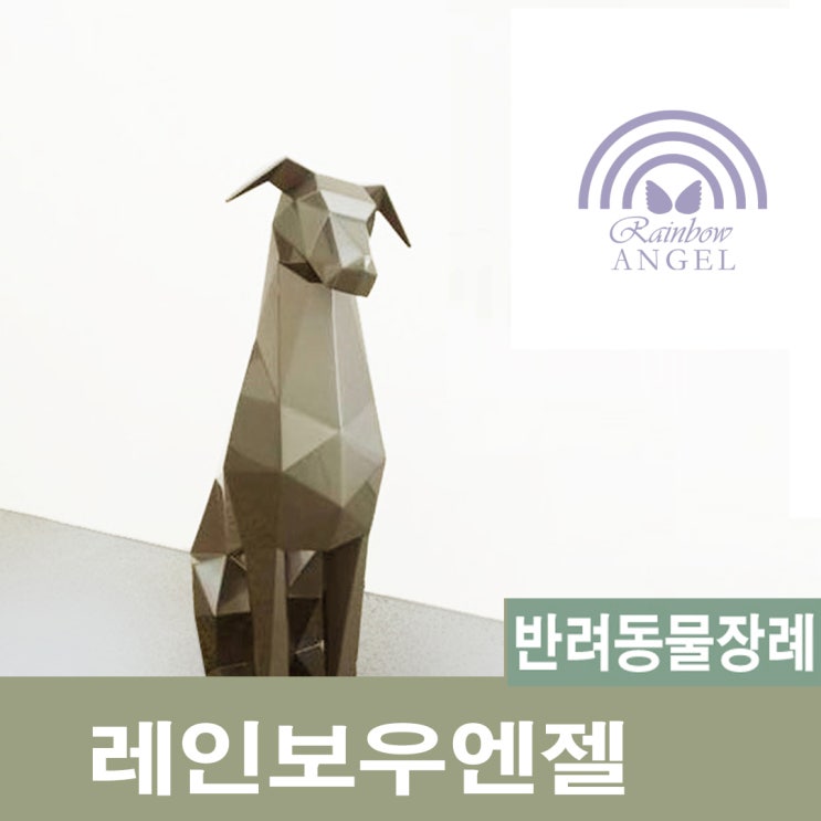  [반려동물장례 레인보우엔젤]대형 개 종류 10종과  유형별 특징을 소개합니다.