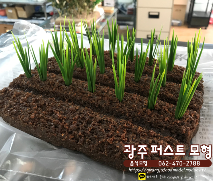  교육용모형-벼모형, 논모형, 광주음식모형, 모형음식, 전시모형, 박물관모형