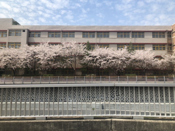  렌토, 그것은
