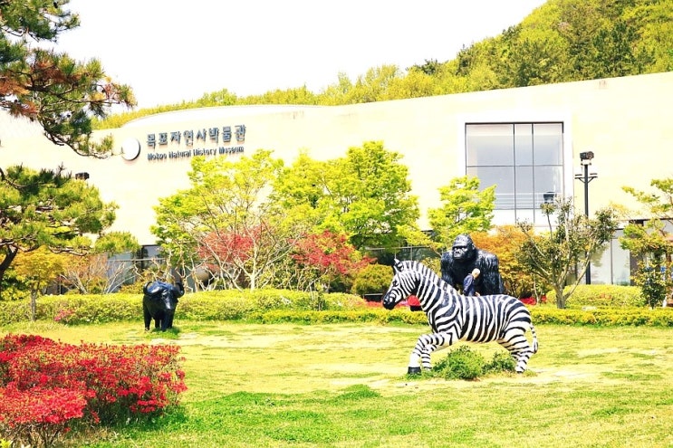  목포 자연사박물관