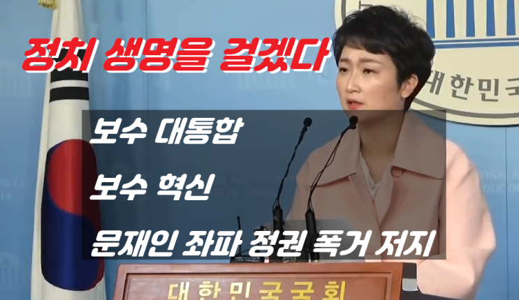  이언주 국회의원 '바른미래당 탈당' 기자 회견 영상 및 기자회견문 전문