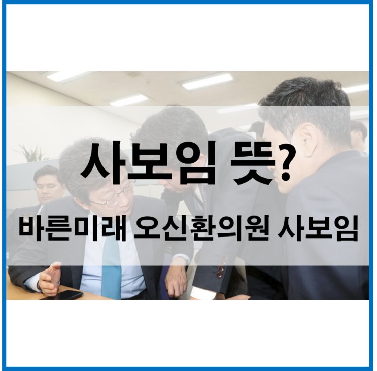  사보임뜻 ? 오신환 패스트트랙반대